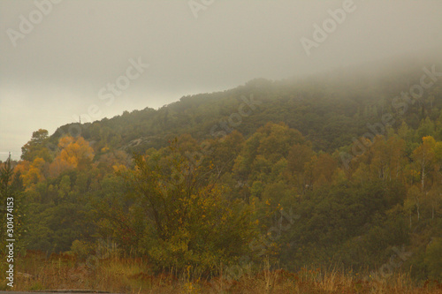 Mountain valley surrounded by fog with fall colors in the background