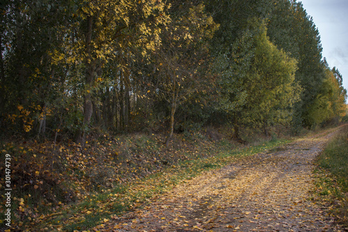 Autumn countryside landscape