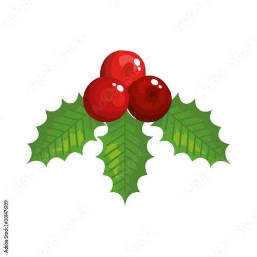 leafs with seeds decoration christmas isolated icon vector illustration design