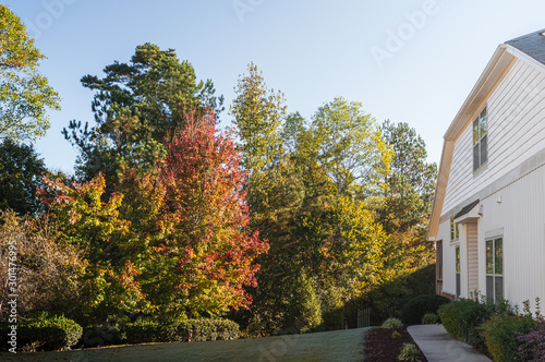 Typical american house and its backyard side with woods view on an autumn morning