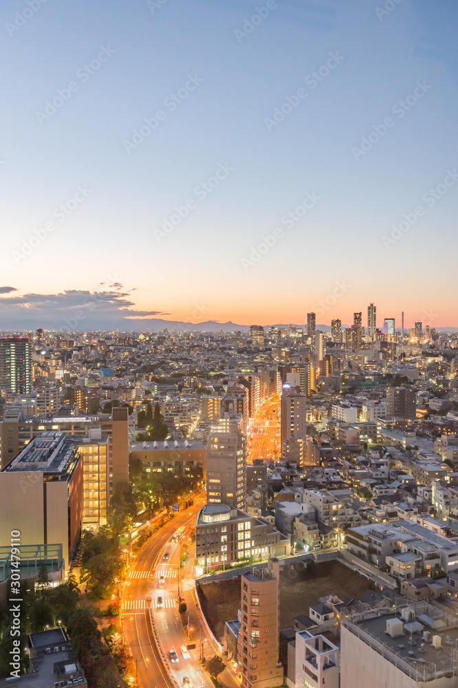 Obraz 東京都文京区後楽園から見た東京の夕景