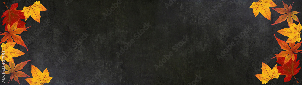 autumn – frame of colorful leaves isolated on a black concrete texture – background panorama banner long