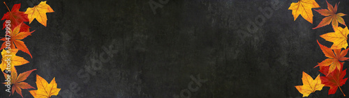 autumn – frame of colorful leaves isolated on a black concrete texture – background panorama banner long