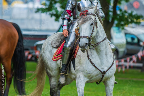 A gorgeous white horse carries a female knight in shining armor into battle. 