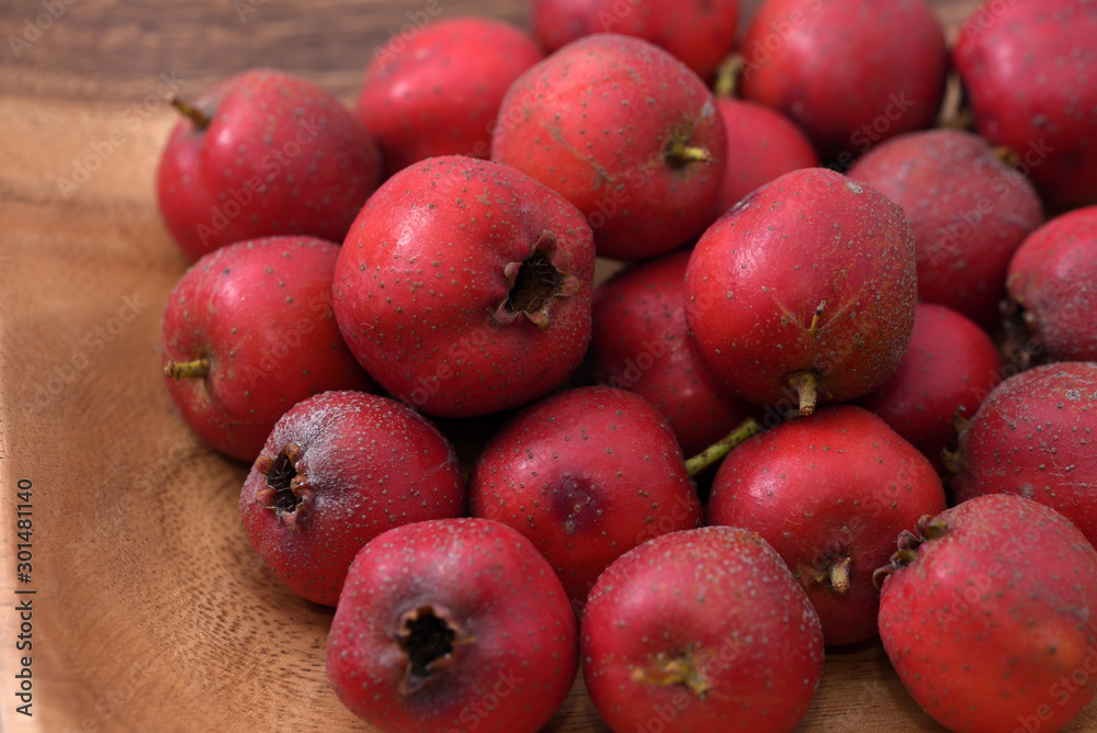 Red fruits of Japanese hawthorn, on the branch, Crataegus cuneata Red fruits of Japanese hawthorn, on the branch, Crataegus cuneata
