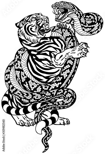 fight between tiger and snake. Angry reptile coiled the big cat. Graphic style vector illustration. Black and white tattoo