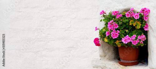 Geraniums in a flower pot standing in a wall recess