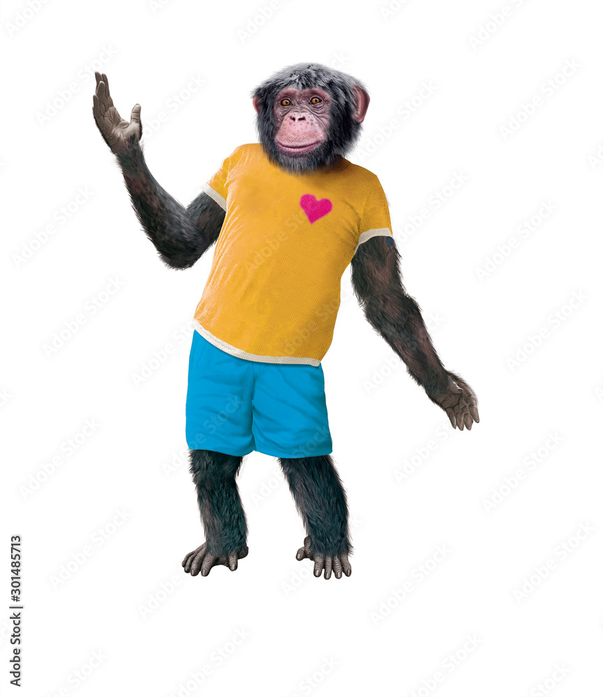chimpanzé, singe, jeune, animal, habillé en homme, sympa, mouvement, expression, drôle, debout, chemise jaune, souriant, attitude, démonstration de, pose, position, force, réussite, short bleu, coloré chimpanzé, singe, jeune, animal, habillé en homme, sympa, mouvement, expression, drôle, debout, chemise jaune, souriant, attitude, démonstration de, pose, position, force, réussite, short bleu, coloré