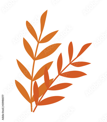 branch with leaf on white background