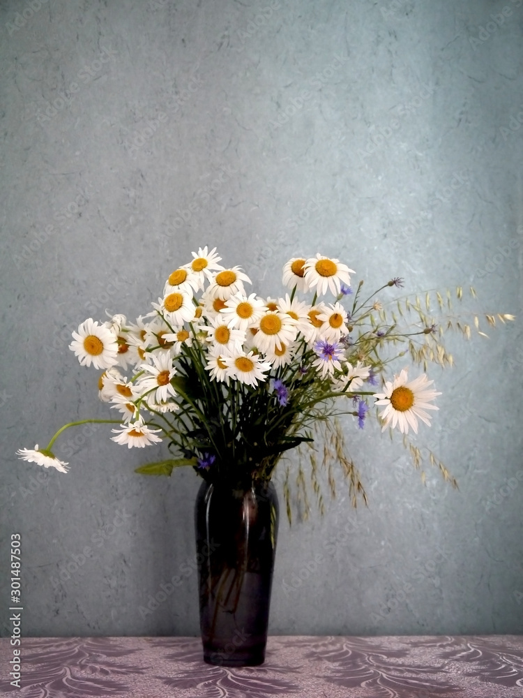Bouquet of daisies on a table on a gray background. Wildflowers. Bouquet of daisies on a table on a gray background. Wildflowers.
