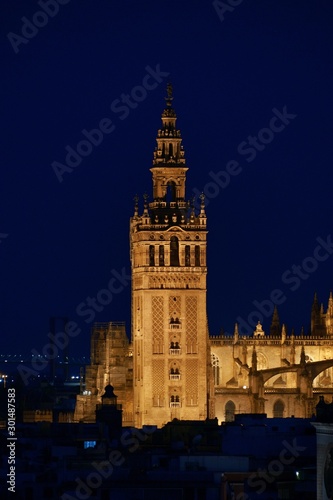 Seville night rooftop view