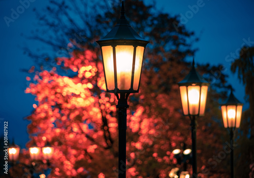 Cathedral lightposts in autumn evening