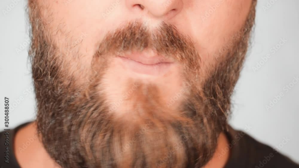 close up lower part face adult man with a beard eating chips close up lower part face adult man with a beard eating chips