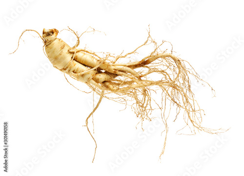 ginseng isolated on white background