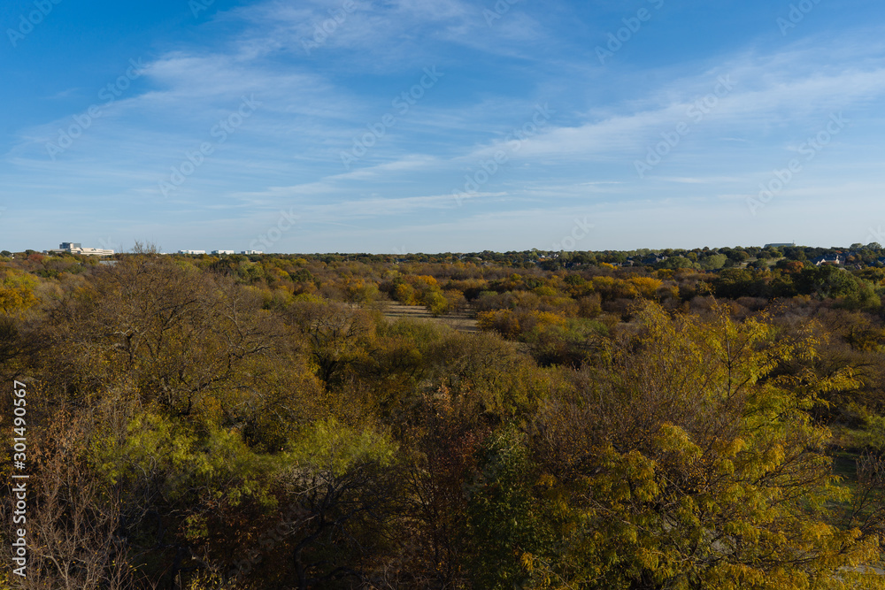 View of the park from the observation deck on a sunny autumn day.