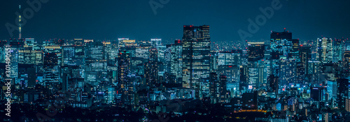 Tokyo city at night