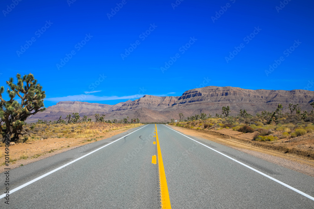 Open road, Desert Highway, California