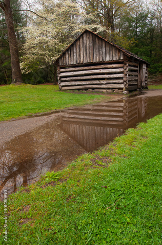 Reflection of Log Cabin © Lynn Freeny