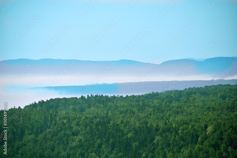 Tadoussac forest  and St. Laurent River