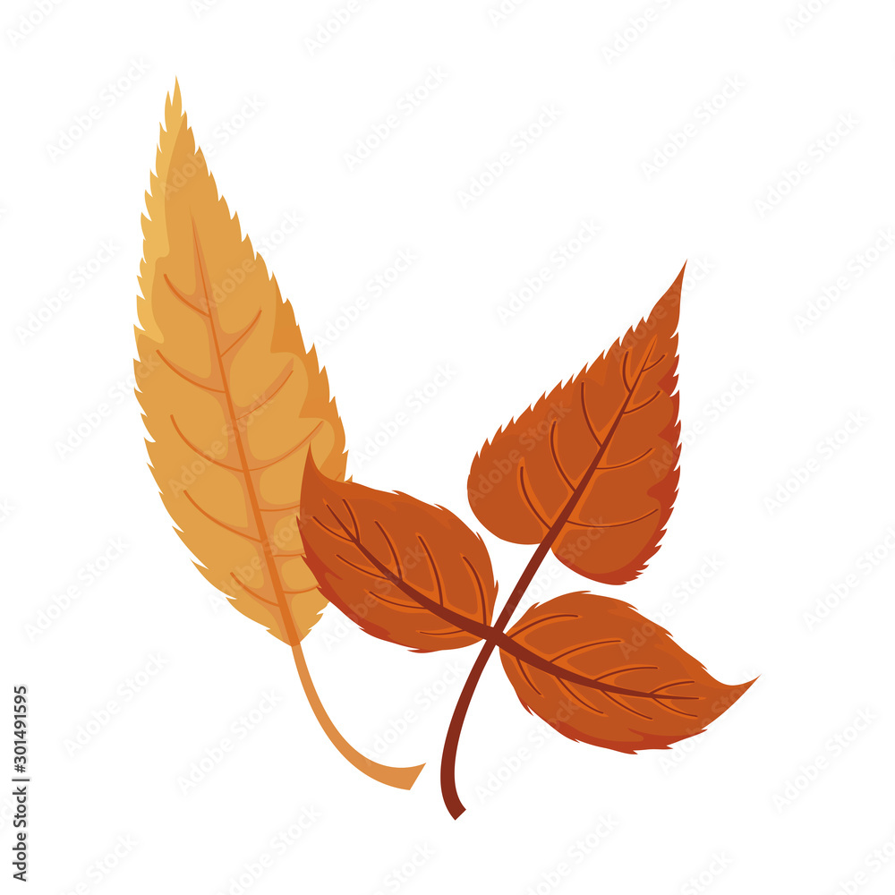 Naklejka premium beautiful autumn leaves on white background