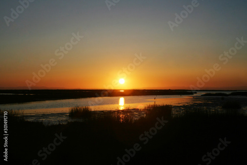 Gorgeous Northern California Sunrise Over Wetland 