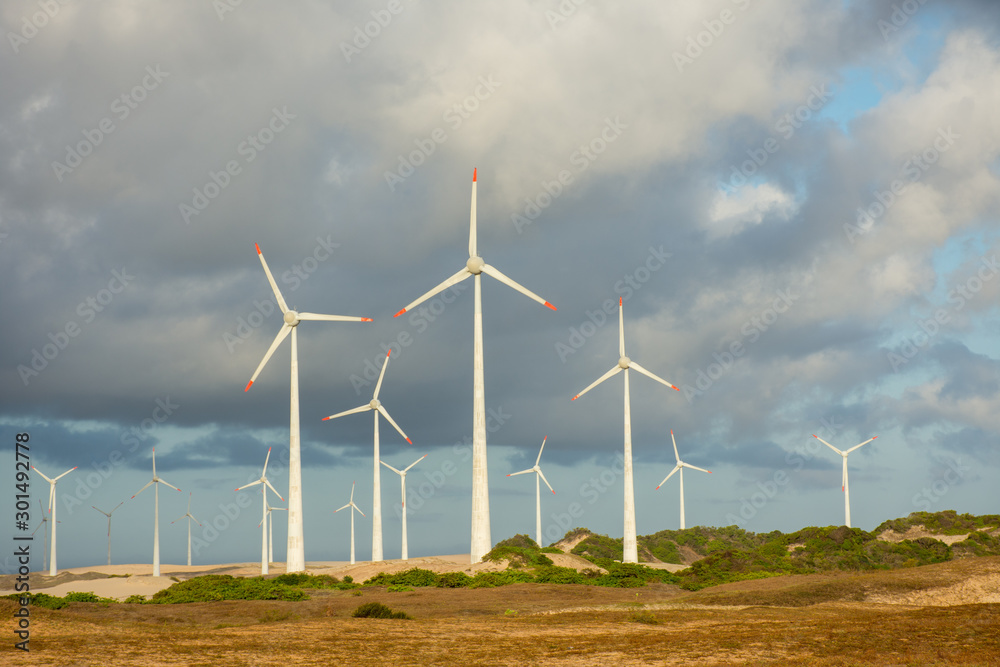 Wind farm producing clean green energy