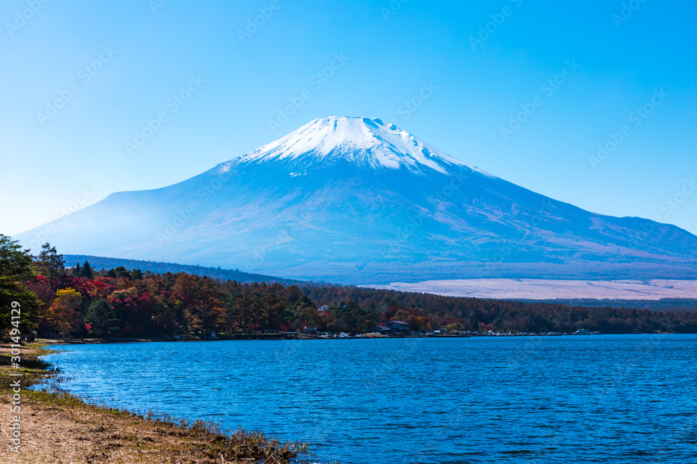 (山梨県ｰ風景)山中湖畔から望む富士２