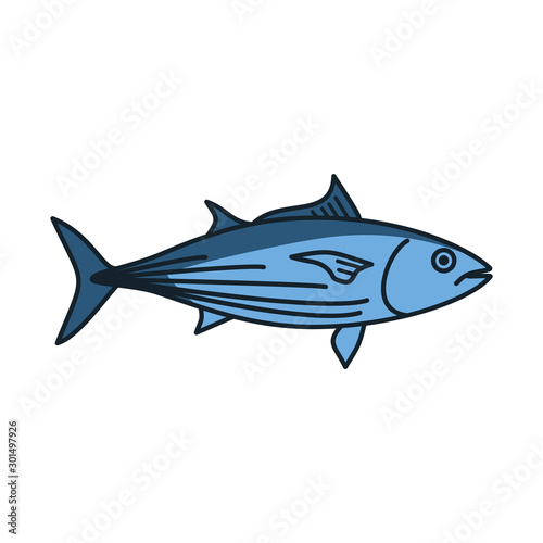 Skipjack Tuna fish vector