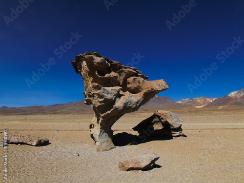 Stone Tree in the Siloli Desert, Potosi Bolivia