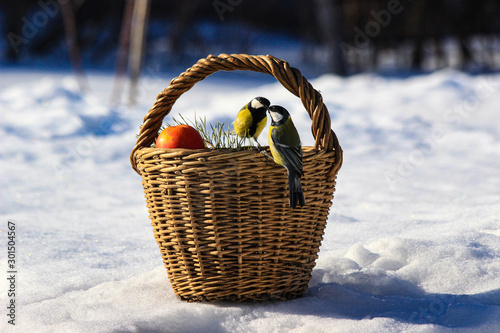Two kissing yellow birds on a sunny snowy day in a basket with an apple.