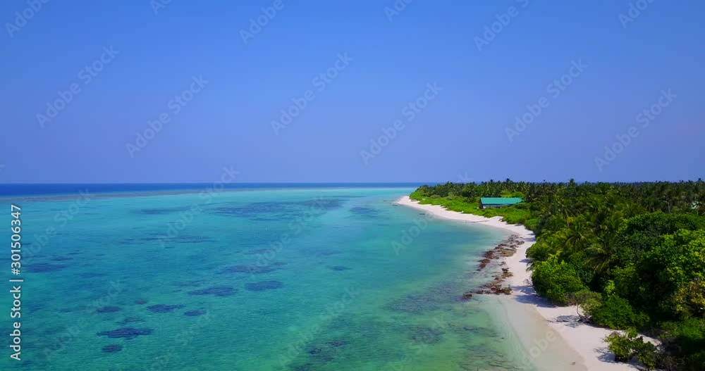 seaside of long green forest in bora bora seaside of long green forest in bora bora
