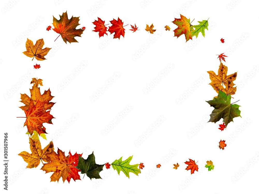 Autumn background. Falling October leaves isolated on white. Season concept Autumn background. Falling October leaves isolated on white. Season concept