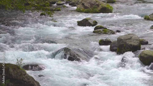 4K : Crearwater River Flow in Scenic Japan Forest