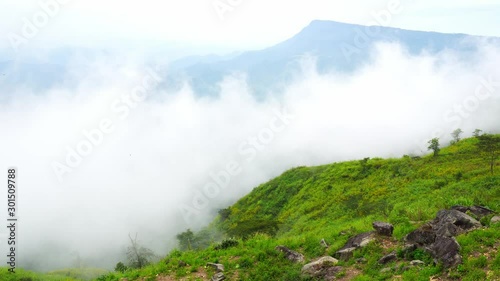4K : Fog in a humid forest where you can see its vegetation and a lot of fog. Cloud forest effect is only perceived during the morning.