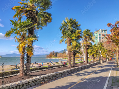 2018-11-11 Vancouver, Canada, british Columbia. Seawall biking route in the fall on a sunny day. Palms along the ocean © Alisa