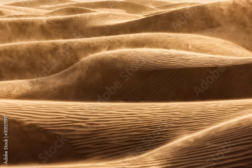 Fototapeta Naklejka Na Ścianę i Meble -  Windswept desert sand dunes.