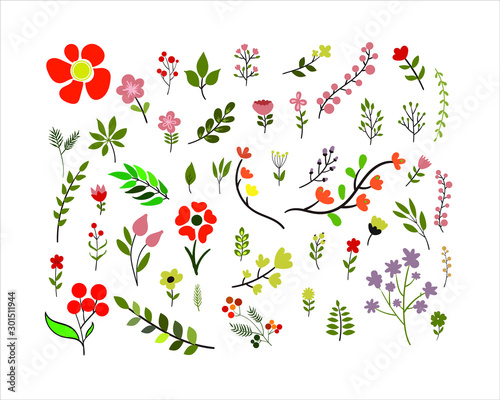 Wallpaper Mural Botanical Drawing Vector, element floral set Torontodigital.ca