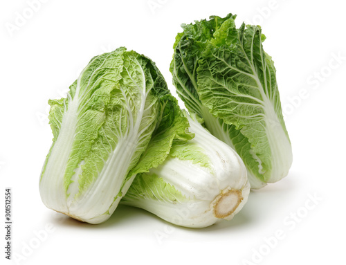 Chinese cabbage on white background 
