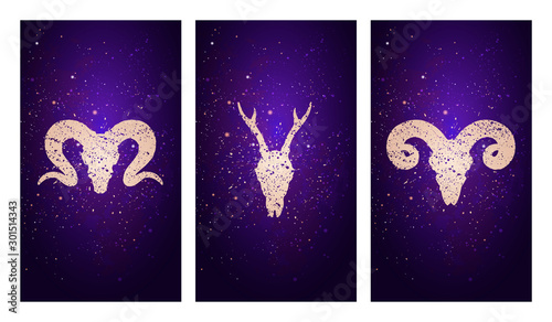 Vector set of three illustrations with silhouettes skulls roe deer and rams against the background of the starry sky.