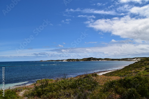 Wallpaper Mural Rottnest Island in Western Australia Torontodigital.ca