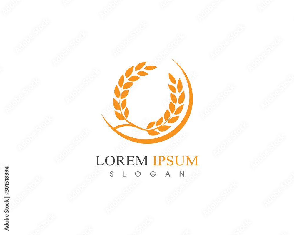 Wheat rice agriculture logo design icon vector template Wheat rice agriculture logo design icon vector template