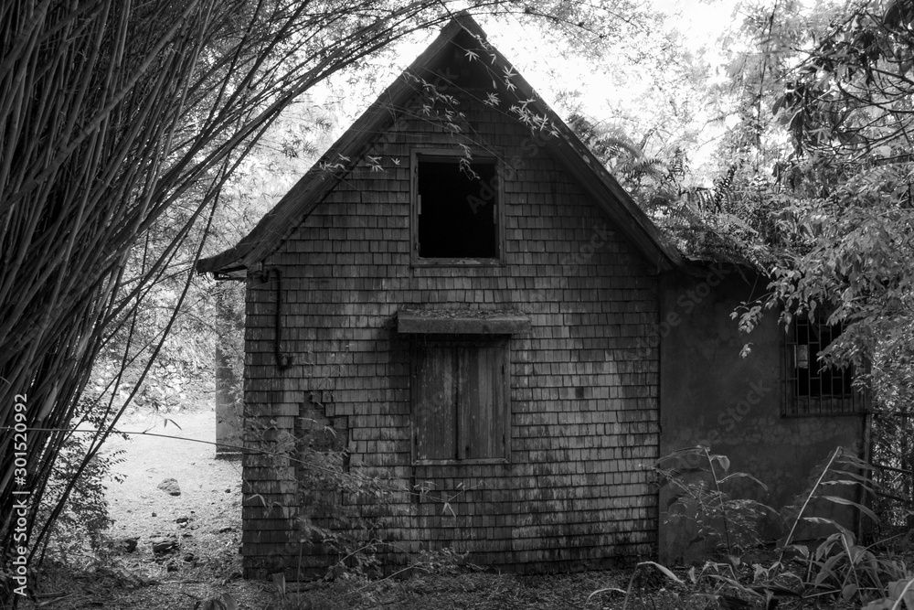 Kaz abandonnée Kaz abandonnée