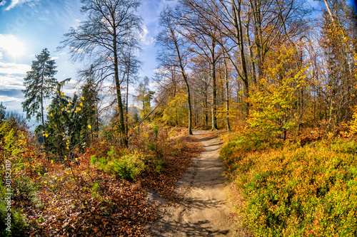 Herbstlicher Wanderweg im Elbsandsteingebirge