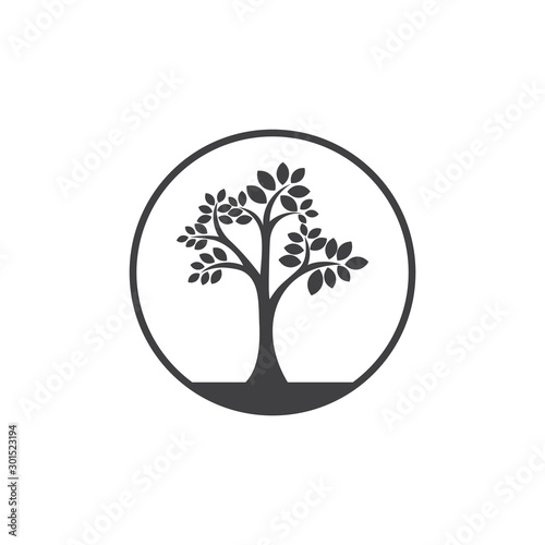 tree leaves simple decoration symbol vector