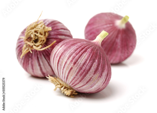 fresh garlic on white background 
