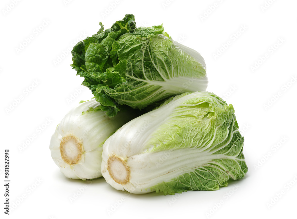 Chinese cabbage on white background Chinese cabbage on white background