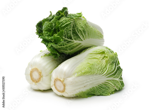 Chinese cabbage on white background 