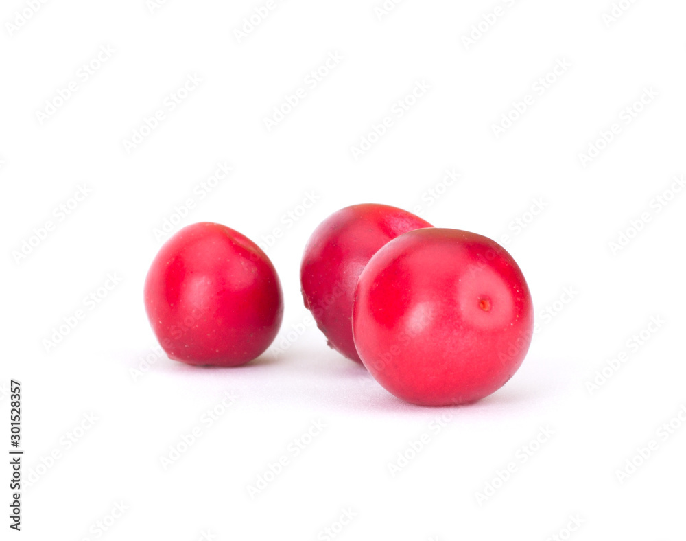 Fresh red berry: hand-picked forest Cowberry isolated on white background, macro shot Fresh red berry: hand-picked forest Cowberry isolated on white background, macro shot