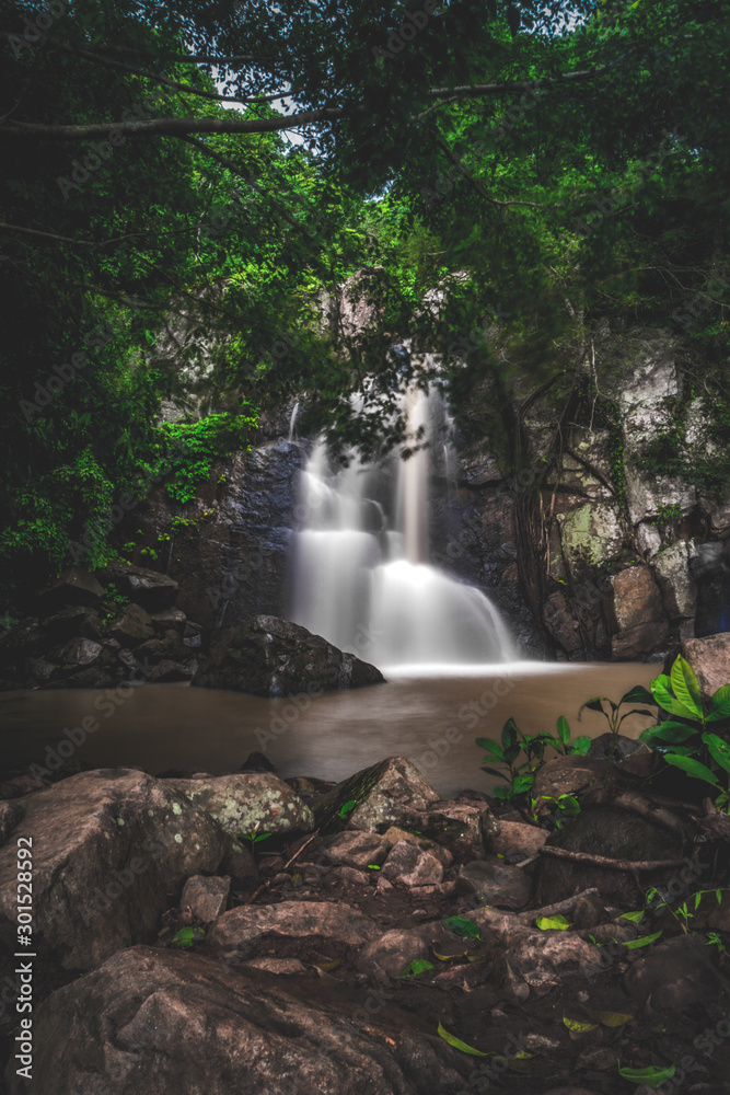 Fototapeta premium waterfall in forest