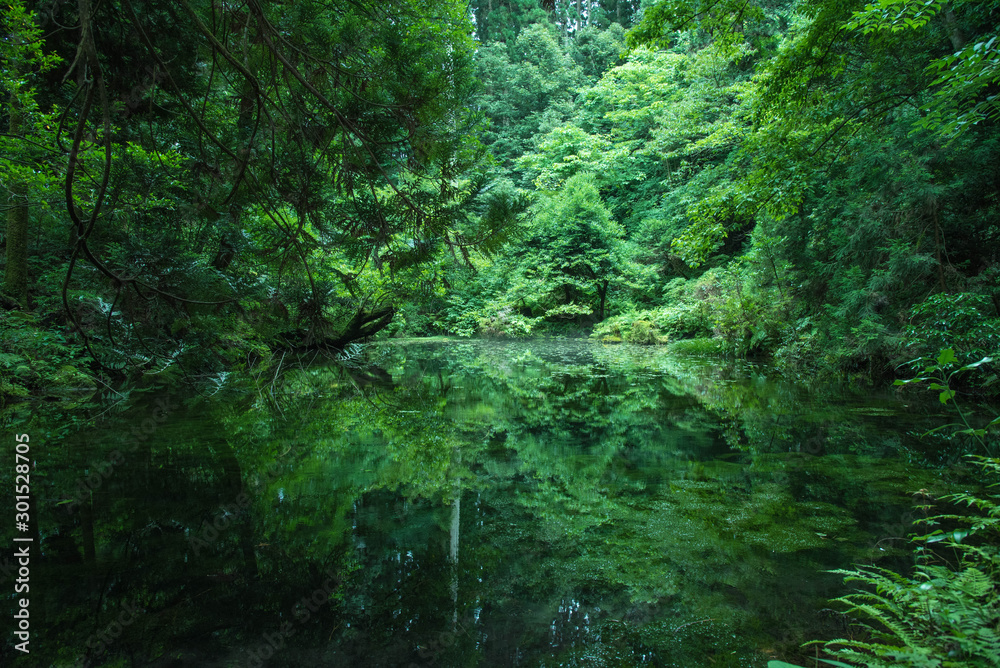 Fototapeta Hidden Beautiful nature spot, Ishikawa, Japan